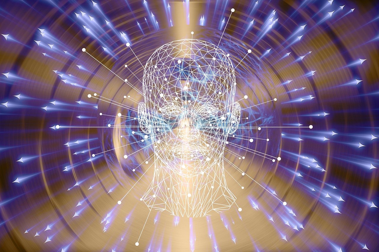 identity verification software