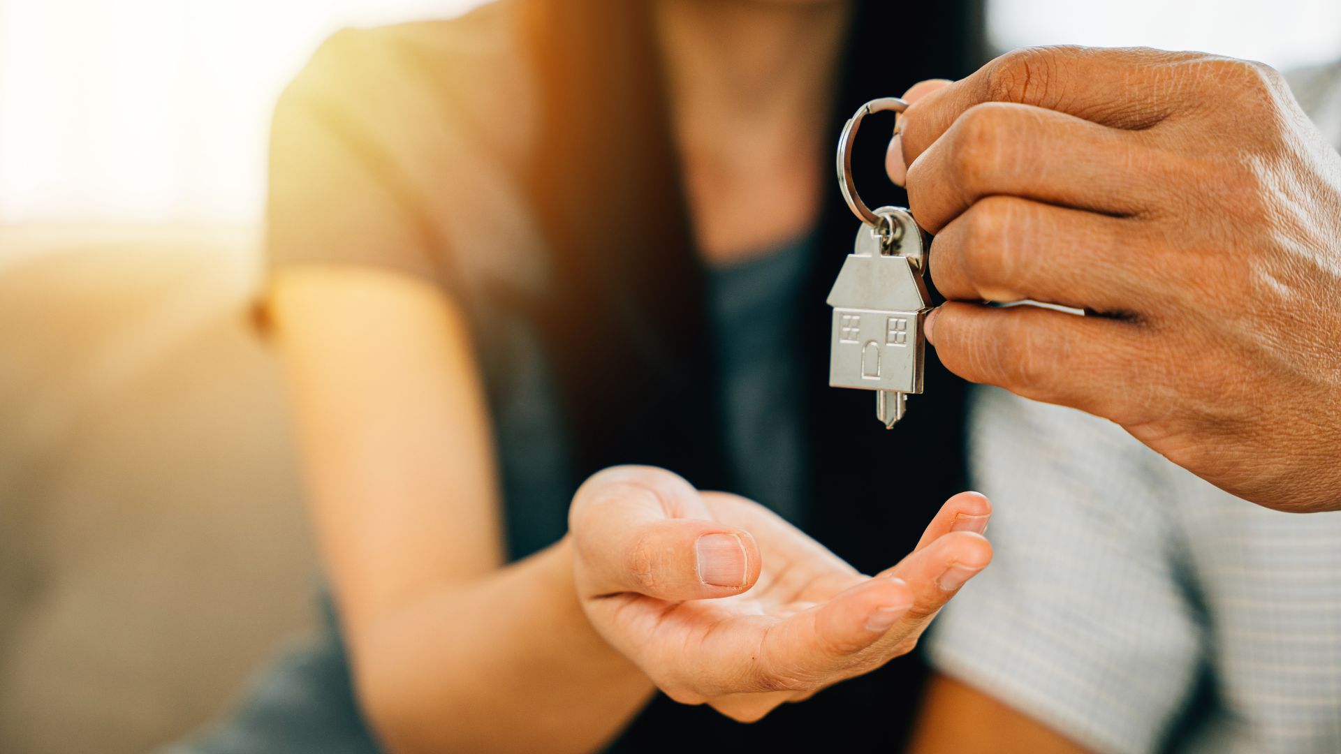 portable tenant screening reports